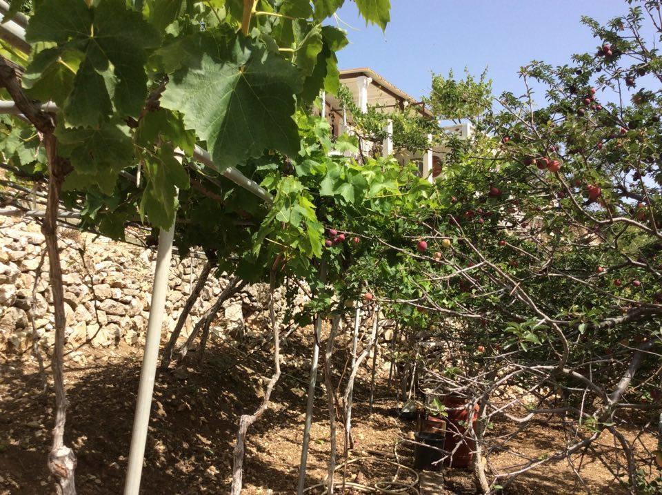 La Villa Di Zazopetra Menetaí Exterior foto